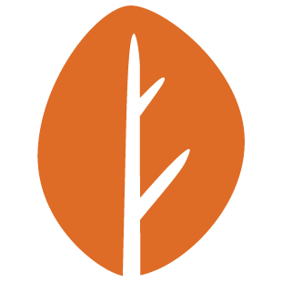 clickplaynet.com favicon